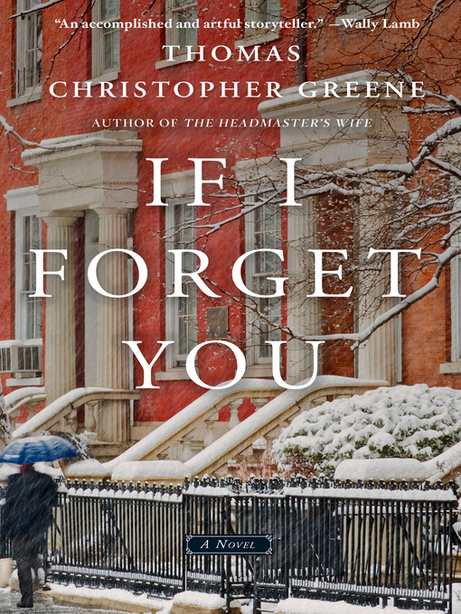Cover image for If I Forget You